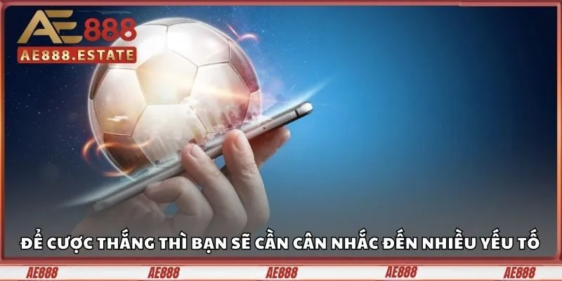 Để chiến thắng thì bạn sẽ cần cân nhắc đến nhiều yếu tố