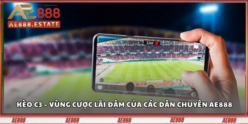 Kèo C3